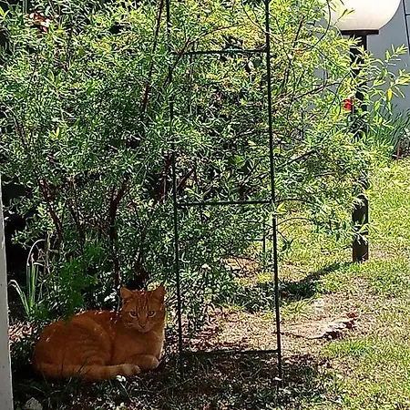 Il Cantuccio Bed and breakfast